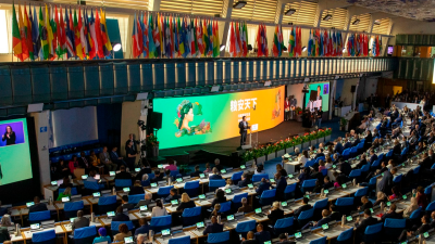 Día Mundial de la Alimentación 2024: en la ceremonia mundial se destaca el derecho a alimentos nutritivos, inocuos y asequibles