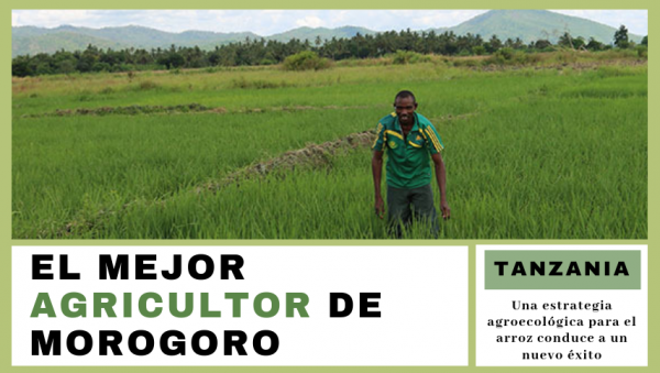  El mejor agricultor de Morogoro