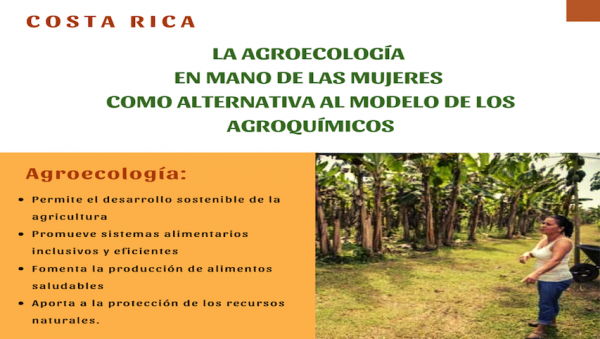 Agricultura familiar