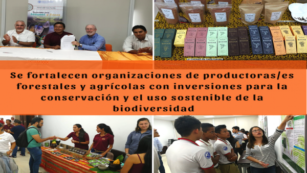 Ecuador, FAO, agricultura, productores