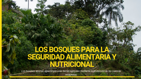 Bosques