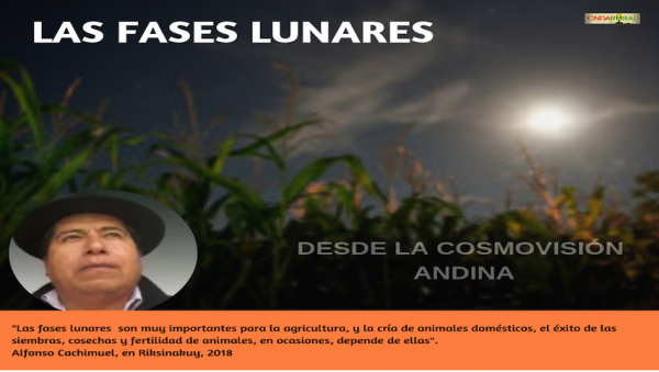 Fases lunares