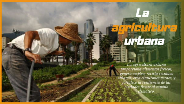 Agricultura urbana