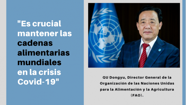 Es crucial mantener las cadenas alimentarias mundiales en la crisis Covid-19