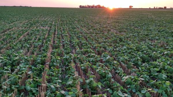 La productividad del agro depende hasta en un 80 % del agua