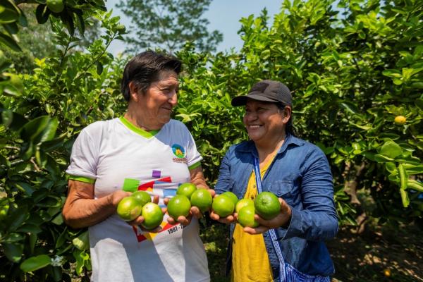 Conozca a las familias que cultivan su camino hacia un futuro sostenible