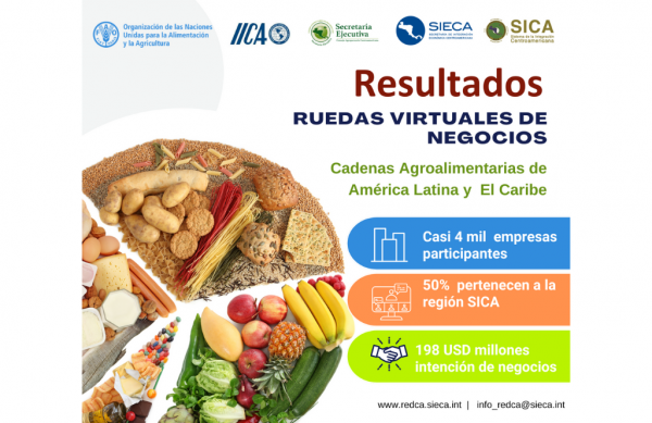 Ruedas Virtuales de Negocios de Cadenas Agroalimentarias benefician a más de 4 mil empresas en América Latina y el Caribe