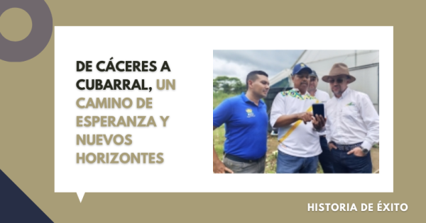 EXPERIENCIA
