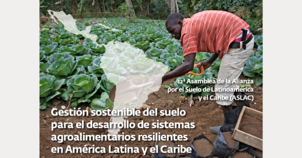 noticia