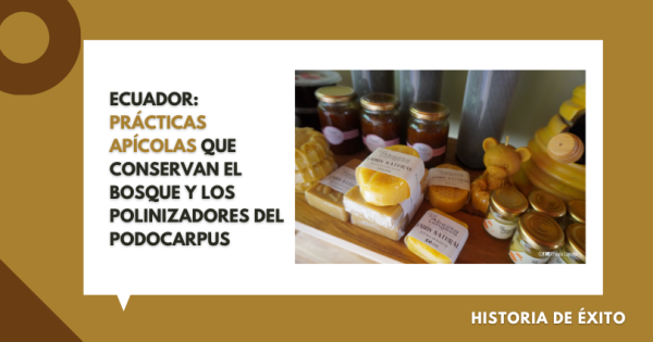 noticia