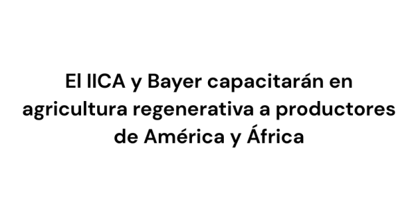 noticia
