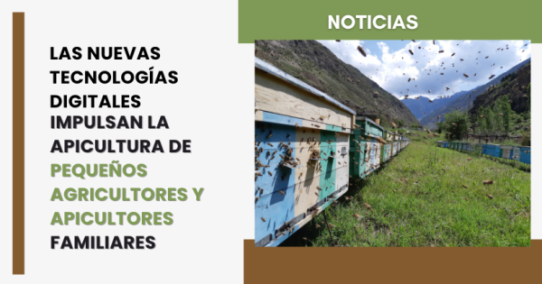 noticia
