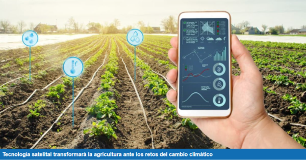 noticia