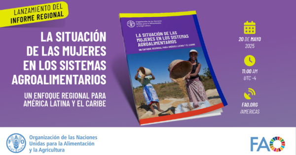 noticia