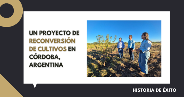 EXPERIENCIA