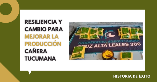 EXPERIENCIA