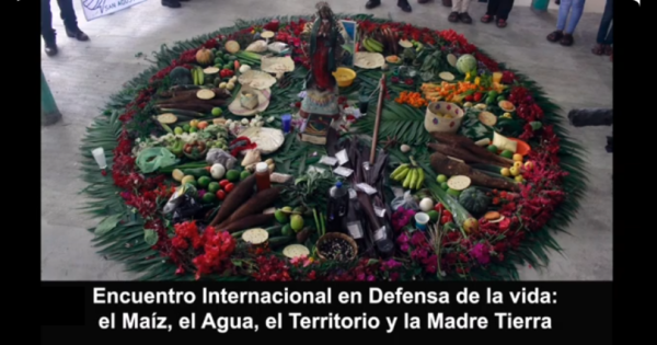 noticia