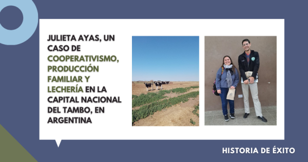 EXPERIENCIA