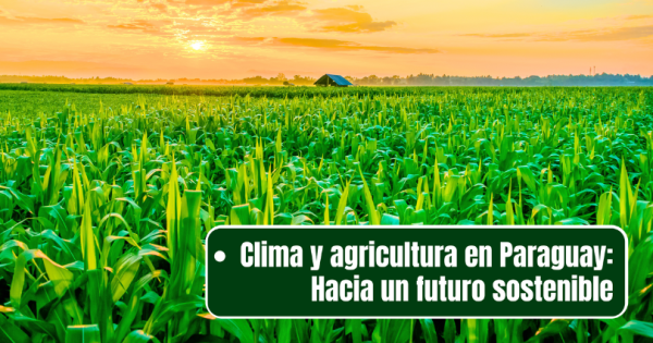 noticia
