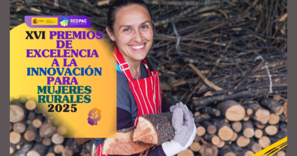 noticia