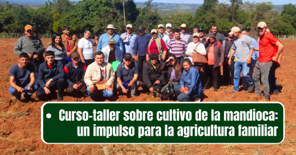 noticia