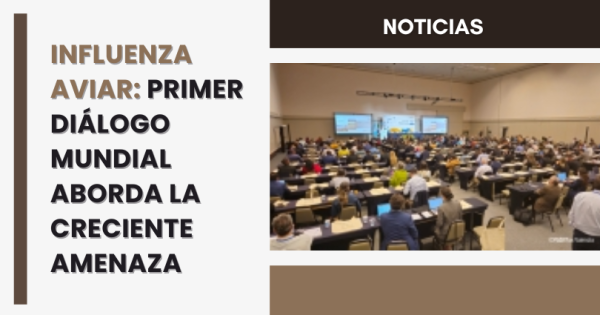 noticia