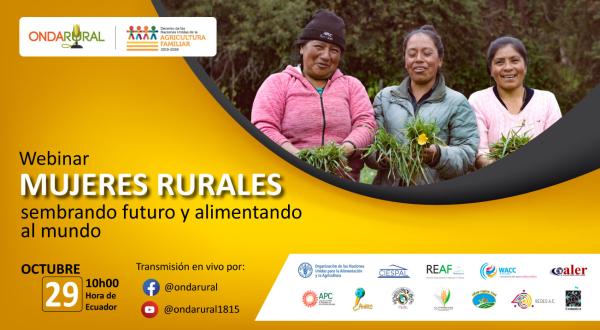 noticia