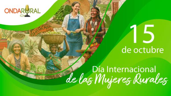 noticia