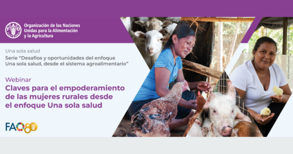 noticia