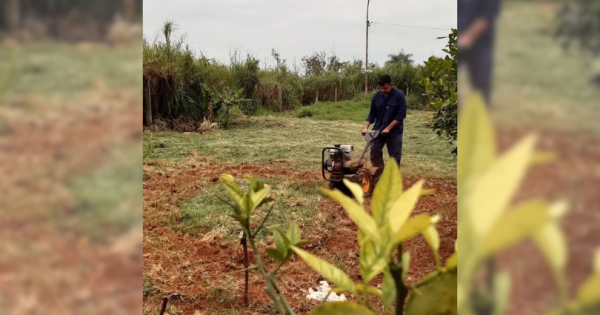 tareas de mantenimiento, asesoramiento y seguimiento en la huerta de la Unidad Penal N°6, Garupá.