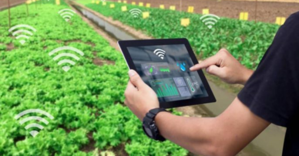 Los datos preliminares muestran que, aunque el conocimiento ha mejorado, la tasa de adopción en la agricultura familiar es de nivel "medio a bajo"