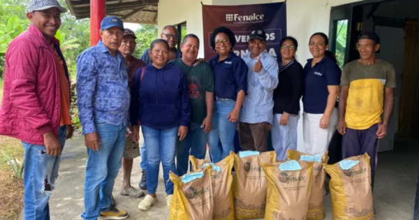 Fenalce entrega más de 33 toneladas de semillas mejoradas a pequeños agricultores