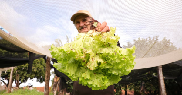 Jepytaso impulsa la agricultura familiar con créditos blandos y asistencia técnica
