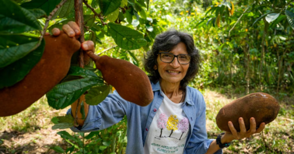 “Era solo tierra pelada”: cómo granjeros familiares lograron volver a la vida parte de la Amazonía deforestada