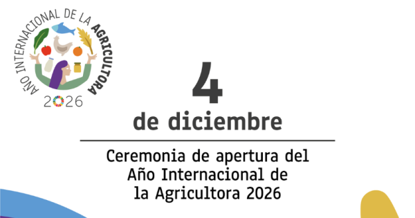 noticia