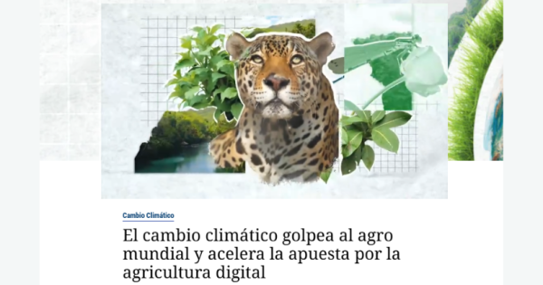 noticia