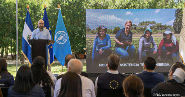 noticia