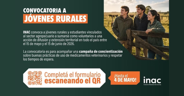noticia