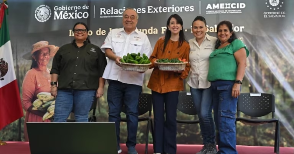 noticia