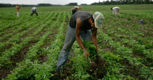 noticia