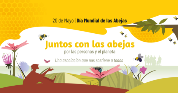 NOTICIA