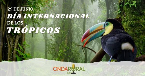 noticia