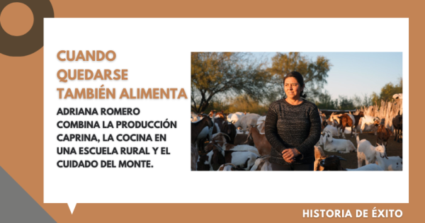 experiencia