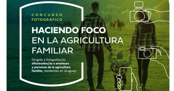 noticia