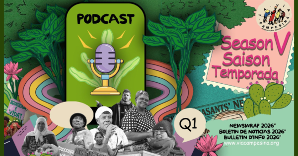 noticia