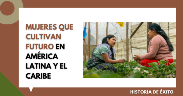 experiencia