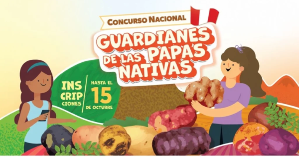 noticia