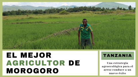 El mejor agricultor de Morogoro