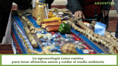 La agroecología como camino para tener alimentos sanos y cuidar el medio ambiente