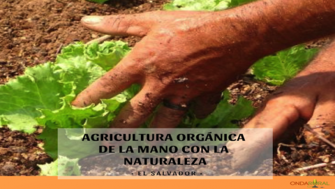 Agricultura orgánica de la mano con la naturaleza